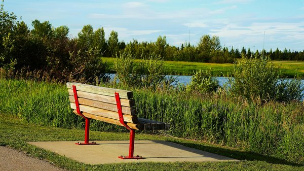 L'impact de la gymnastique douce sur le bien-être mental des seniors