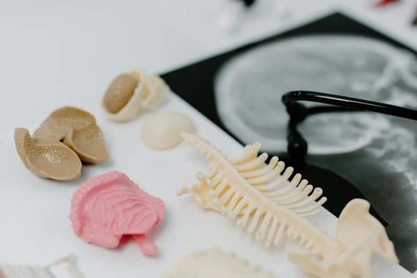 Innovative Baby Products for Multiple Pregnancies